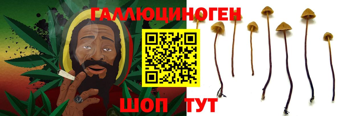 Арзамас  Галлюциногенные грибы мицелий  Вход с VPN 